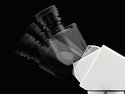 GX41 - Tilting Binocular Observation Tube 