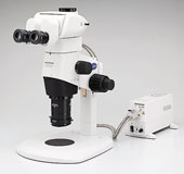 Coaxial Illuminator for Highly Reflective Samples > Olympus SZX16 | Research Stereo Microscope | Life Science Microscopes > Olympus SZX16, Olympus SZX16 Microscope, Stereo Biological Microscopes, Stereo Materials Microscopes, Fluorescence Microscopes 