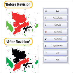 Revision and Re-Classification 