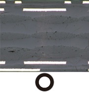 Cross-section of a printed circuit board - Brightfield
