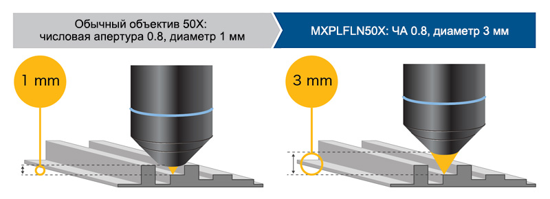 Обычный объектив с рабочим расстоянием 1 мм / объектив MXPLFN20X (числовая апертура 0,6) с рабочим расстоянием 3 мм