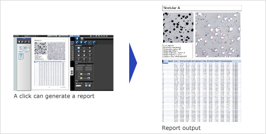DSX500i Microscope Report Function Screenshot