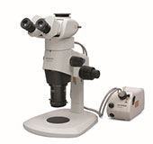 Wide Zoom Stereo Microscope | SZX16 | Olympus