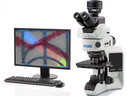 Observación de fluorescencia con el microscopio BX3M y la cámara DP74