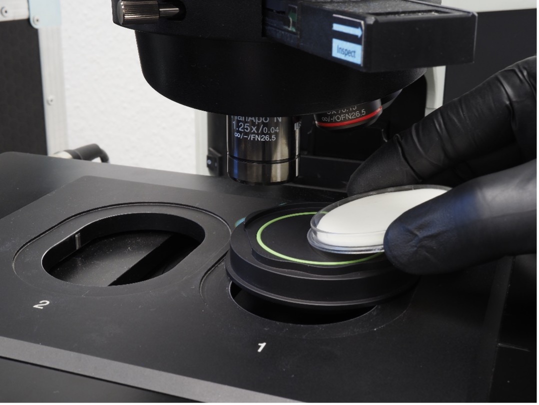 Il filtro di particelle è posizionato sul supporto per campioni per l'analisi al microscopio