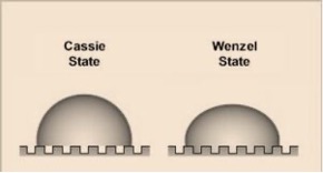 Illustration comparing Cassie vs Wenzel states