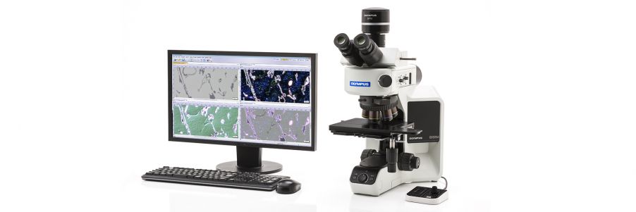 Microscópio Olympus e software de análise