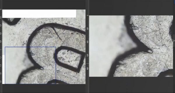 EFIとパノラマ画像の同時取得イメージ（右：ライブ画像、左：同時取得した画像）